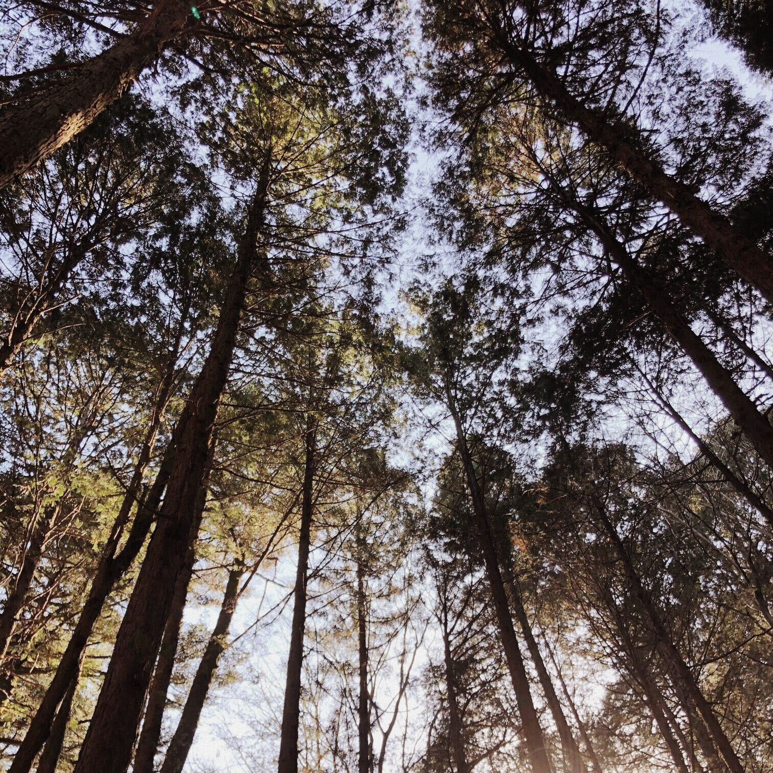 風景